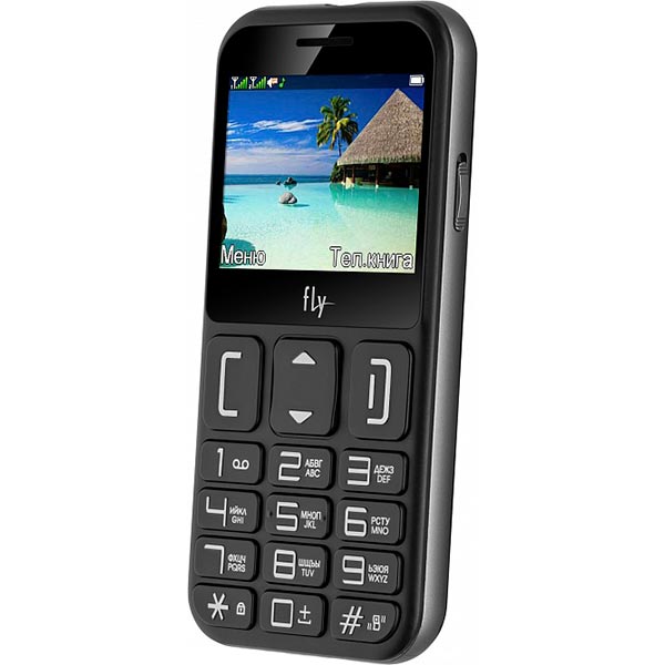 Мобильный телефон Fly Ezzy9 black