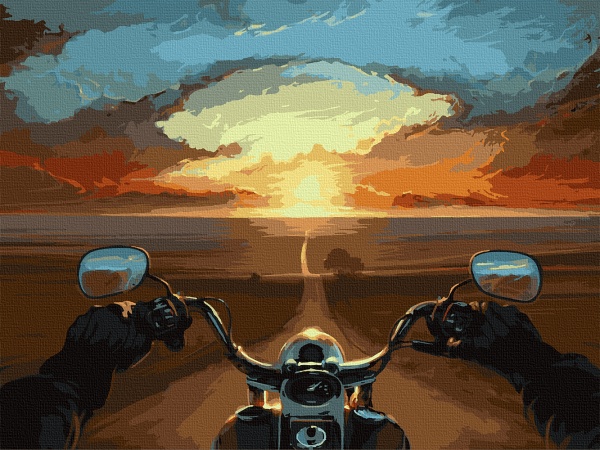 Картина по номерам Дорога свободы 10510-AC 40х50 см ArtCraft 