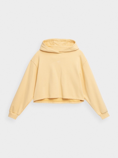 Джемпер 4F 4FSS23TSWSF244-73S р. L зелений