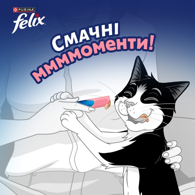 Ласощі FELIX by Purina Смачні моменти з лососем 4x10 г