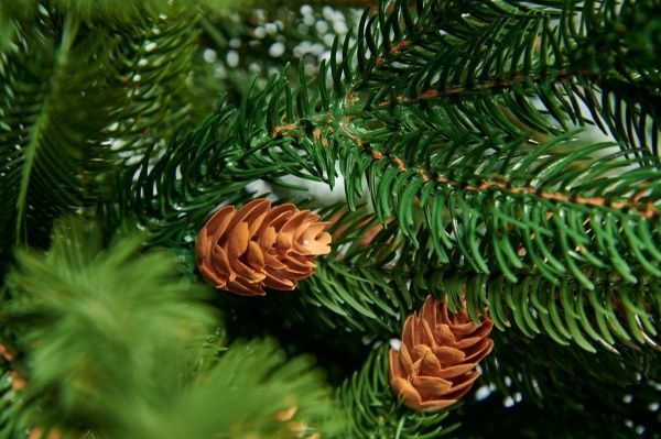 Елка искусственная Европейская 2,2 м зеленый 