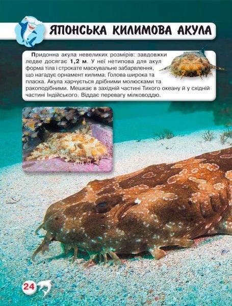 Книга Тамара Протасовицька «Світ навколо нас. Акули» 978-966-936-914-7