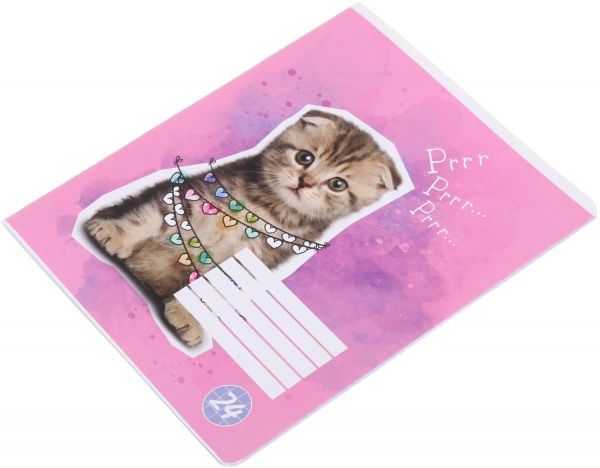 Тетрадь школьная Cat 24 листов клетка 1 Мечты сбываются
