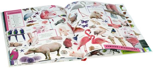 Книга «Тварини Вивчаємо кольори і цифри» 978-617-690-925-5