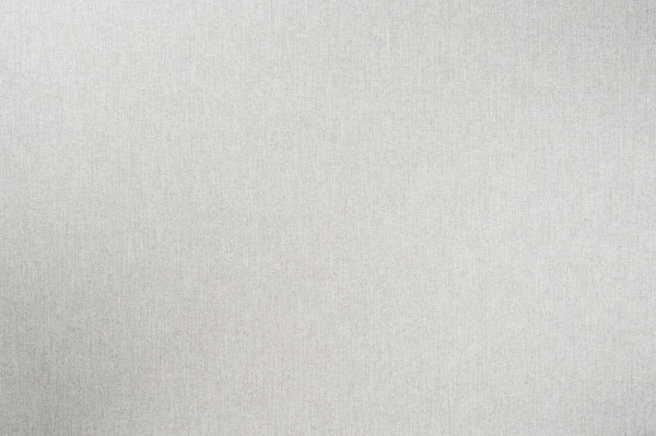 Обои виниловые на флизелиновой основе Vinil Остин стена СШТ 4-1557 1,06x10,05 м 