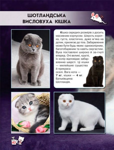 Книга Тамара Протасовицкая «Світ навколо нас. Кішки» 978-966-936-750-1