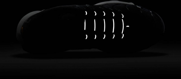 Кросівки Nike WMNS AIR MAX PLUS DM2362-001 р.44,5 чорний