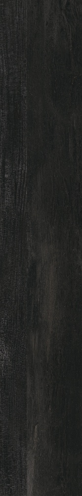 Плитка Allore Group Albero Black F PR R Mat 19,8x120 см