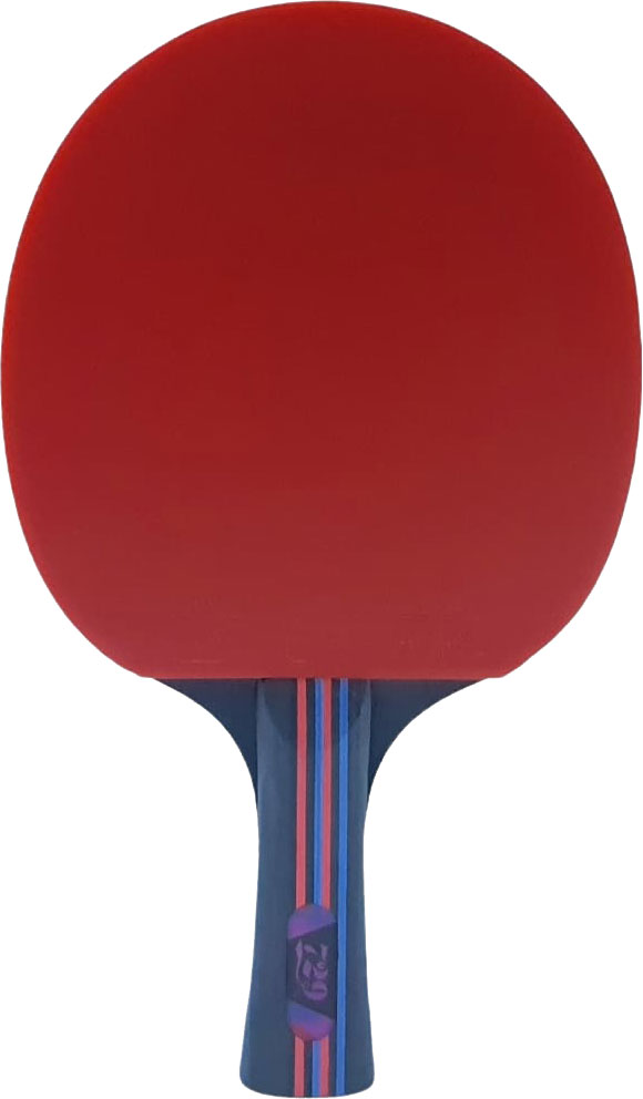 Ракетка для настольного тенниса DHS р.OS 729 7283-B