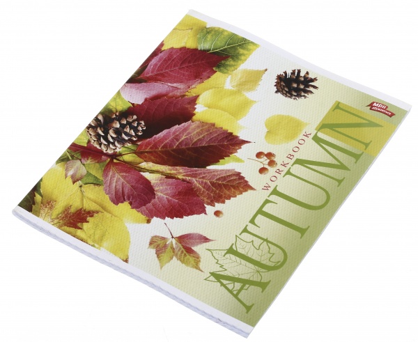 Зошит шкільний 60 аркушів у клітинку в асортименті Мрії збуваються