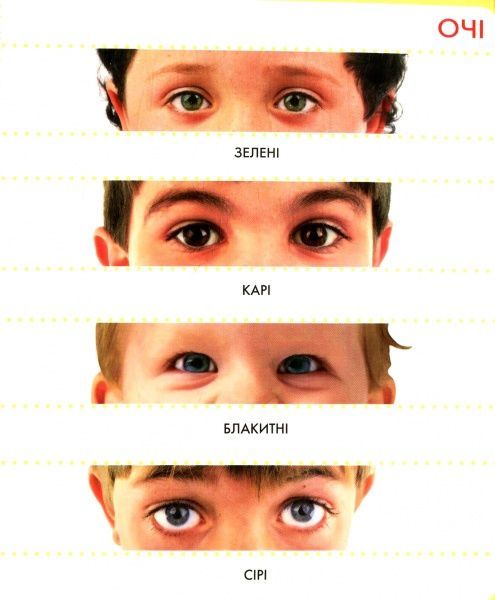 Книга «Книга. Це я. Моя перша книжка»