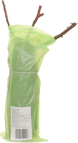 Саженец розы парковой