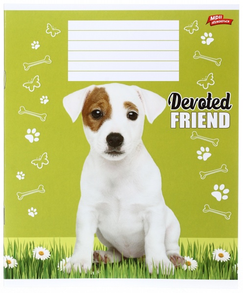 Зошит шкільний уф-лак 12 аркушів у клітинку в асортименті Мрії збуваються