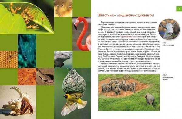 Книга «Животные – изобретатели и строители» 978-966-935-314-6