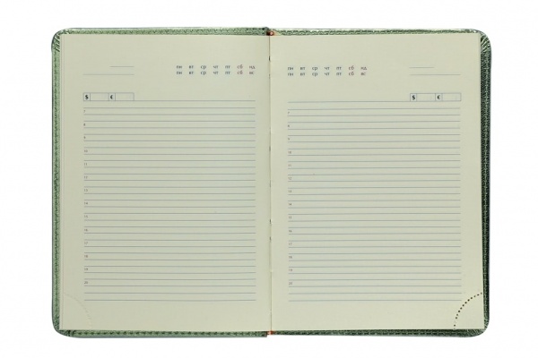 Дневник недатированный CASTELLO черный Buromax A5 2023