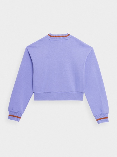 Свитшот 4F SWEATSHIRT F595 4FSS23TSWSF595-52S р. M фиолетовый