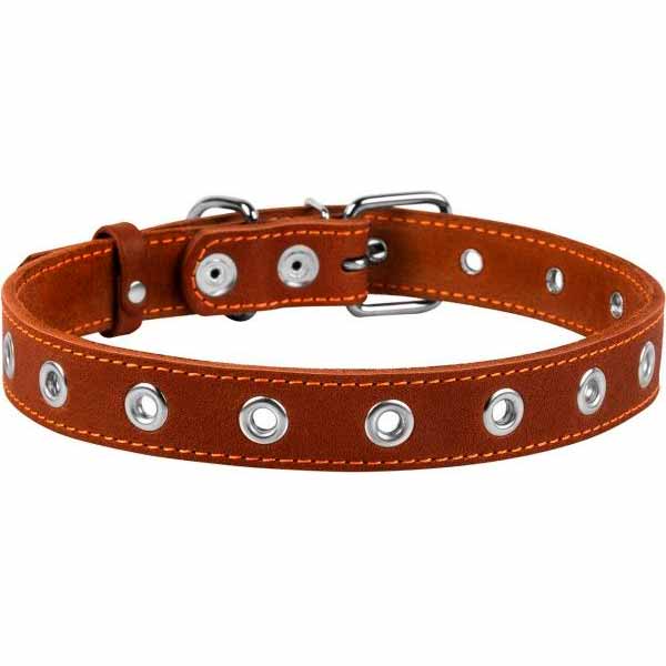 Ошейник Collar безразмерный 2,5х60 см коричневый