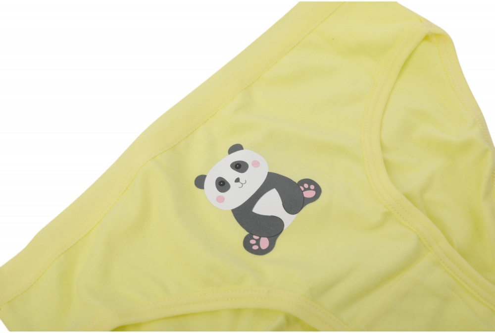 Набор трусов для девочек HW р.122-128 горчичный/розовый C3-D3