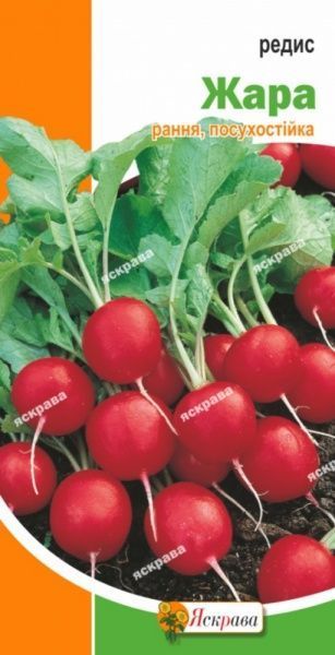 Семена Яскрава редис Жара 3г (4823069801366)