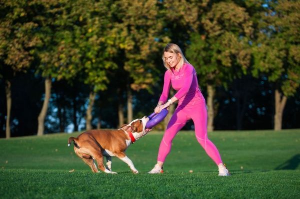 Снаряд тренувальний Puller Мaxi для собак 30 см