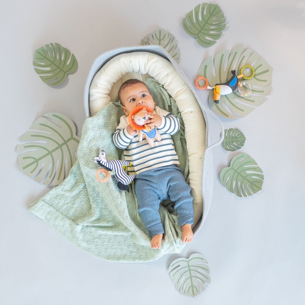 Іграшка-підвіска Taf Toys Савана Тукан Тукі 12695