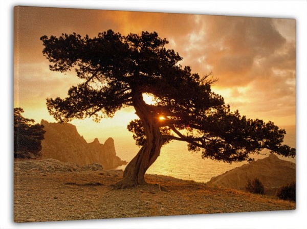 Картина на холсте Величественное дерево 60x100 см Dekor-Karpaty ЕО253 