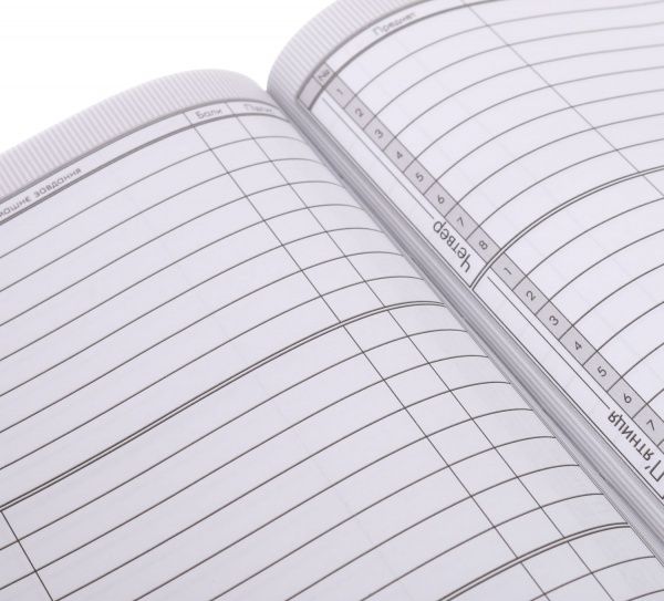 Дневник школьный Princess 2 Nota Bene