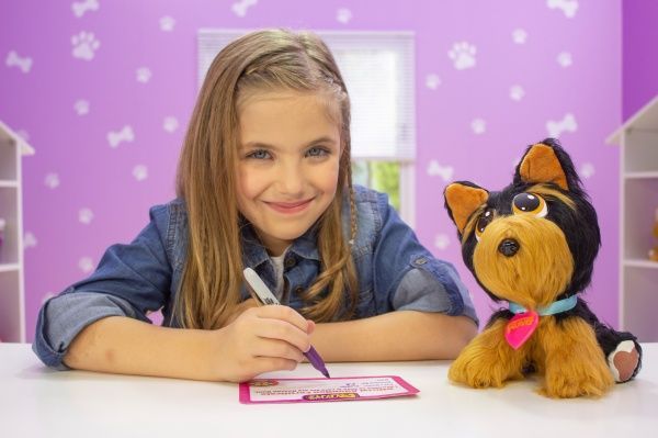 Ігровий набір Kidz Delight Rescue Runts Врятуй друга Йорк S19011