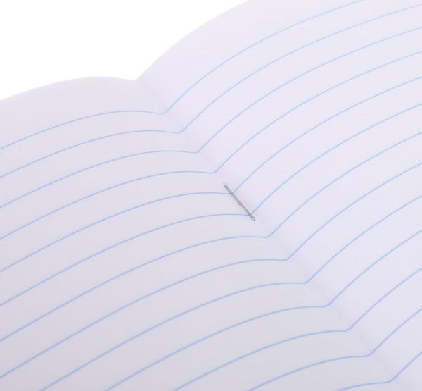 Зошит шкільний 12 аркушів лінія 2021_1 Nota Bene