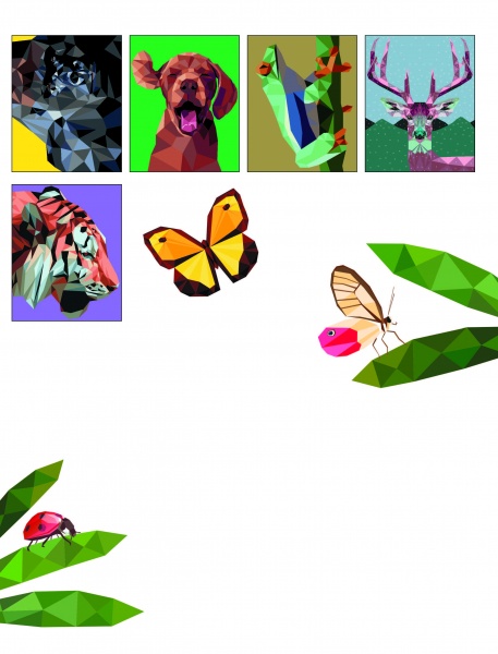 Книга-раскраска «Колорметрія» 978-617-8023-02-7