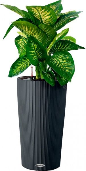 Вазон пластиковий Lechuza CILINDRO COLOR 23 6л сірий 