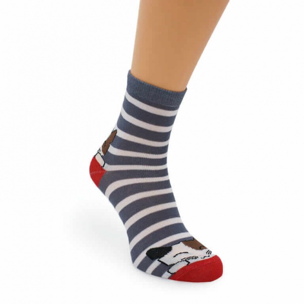 Носки унисекс Leostep 40023 109 20 р. 20 с принтом 