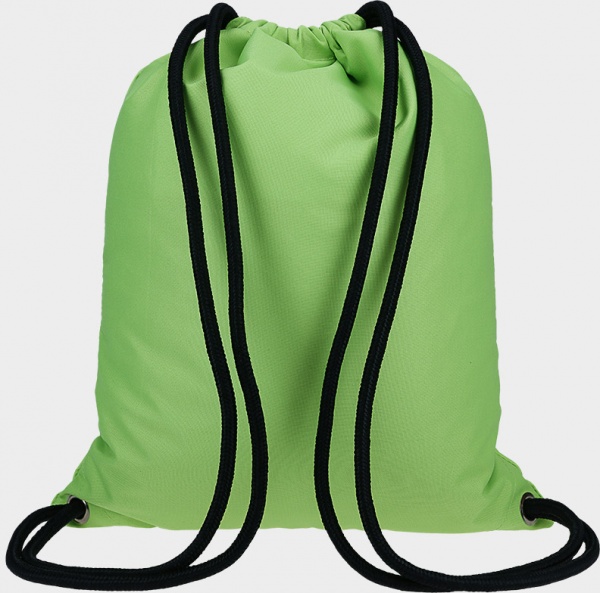 Сумка для взуття 4F 4FJRSS23AGYMM051-41S зелений 