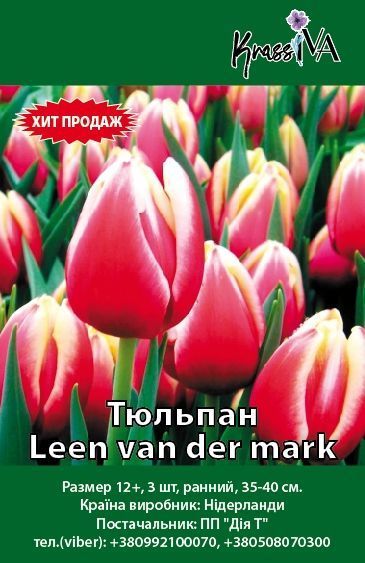 Луковица Тюльпан Leen van der mark 3 шт. 