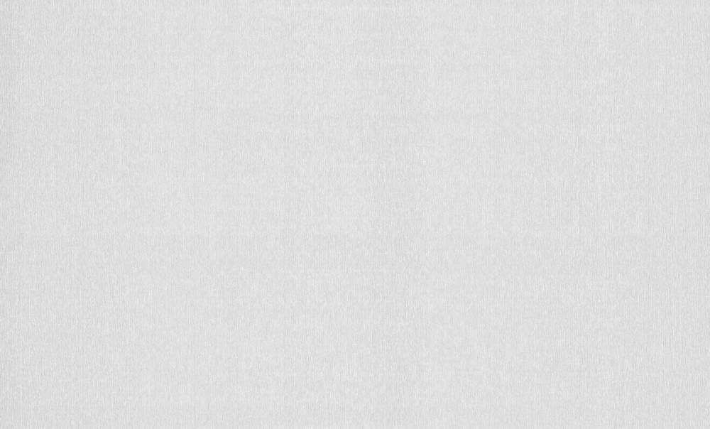 Шпалери вінілові на флізеліновій основі Bravo 81118BR03 1,06x10,05 м