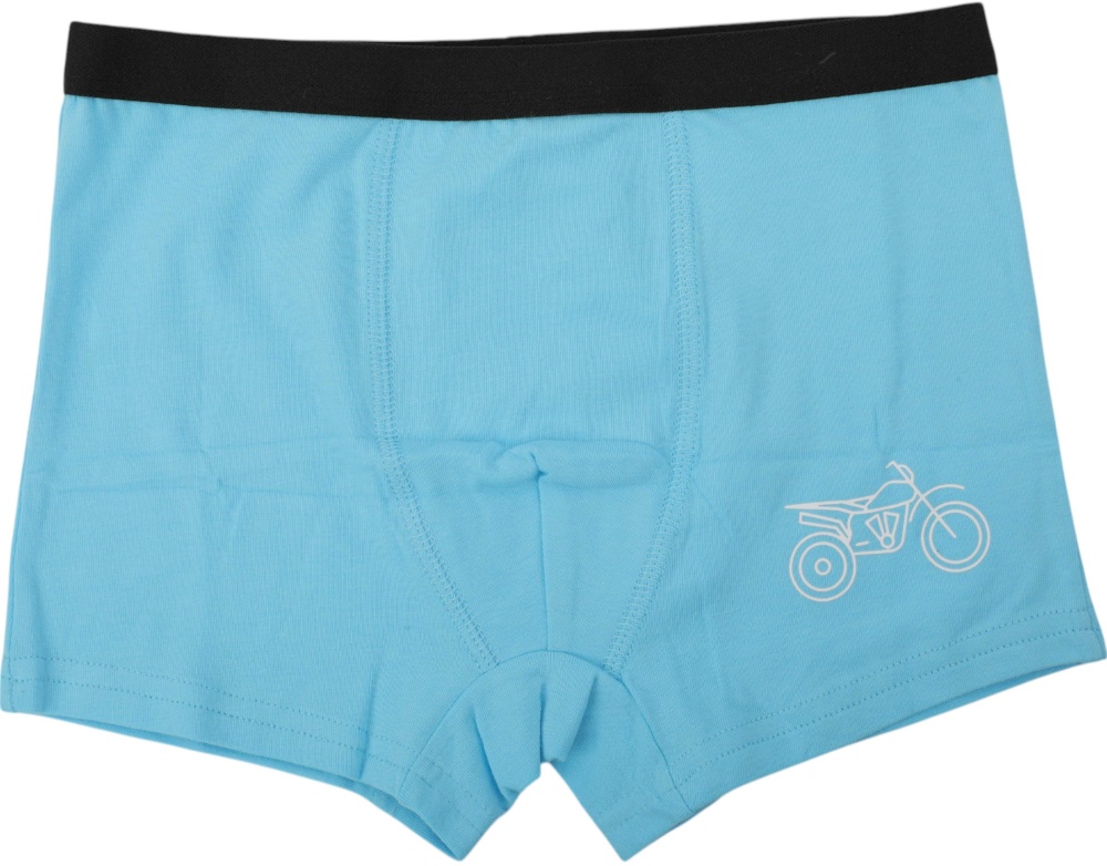 Набор трусов для мальчиков HW 3 пары боксеры р.146-152 голубой с синим N5-O5