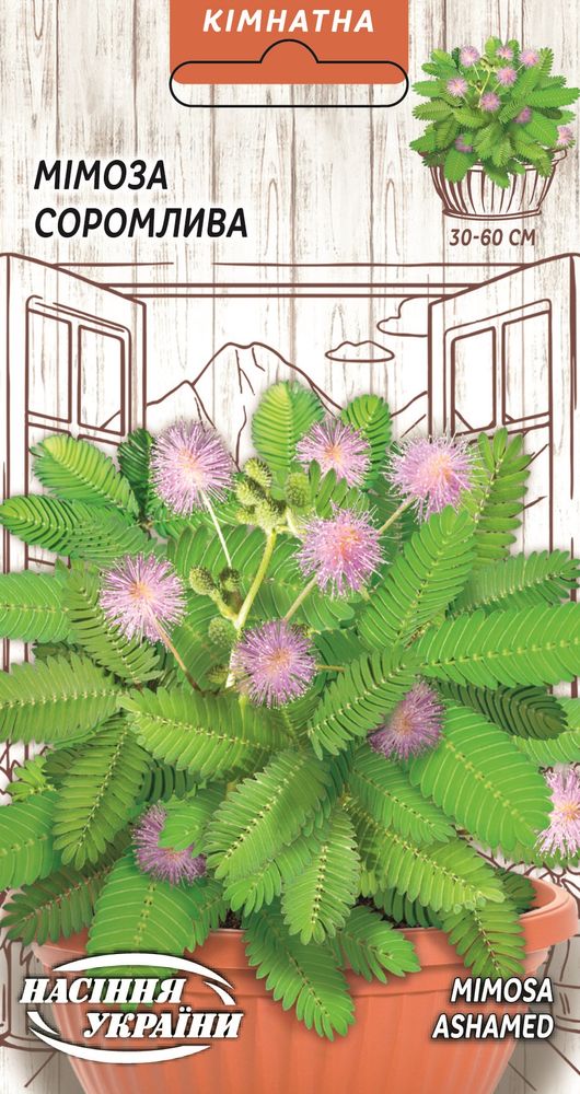 Насіння Мімоза Соромлива