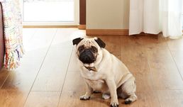 Как положить ламинат возле двери