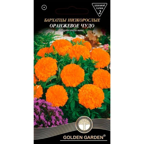 Семена Golden Garden бархатцы низкорослые Оранжевое чудо 0,5 г