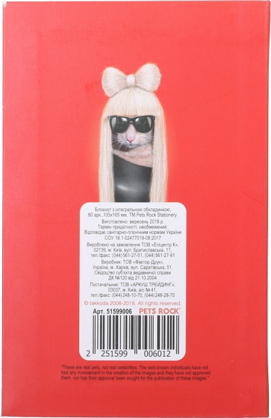 Блокнот Pets Rock 80 аркушів Гага