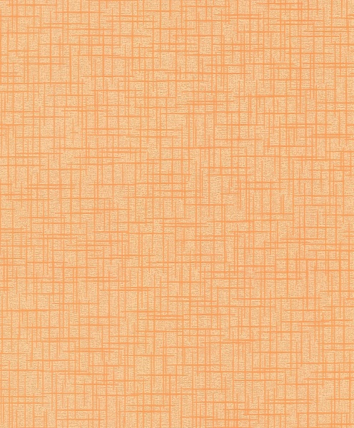 Шпалери вінілові на паперовій основі Bravo 80265BR51 0,53x10,05 м 