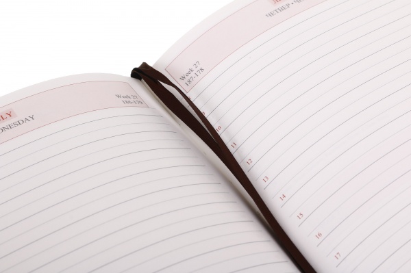 Дневник датированный Velvet Leo Planner Velvet A5 2023