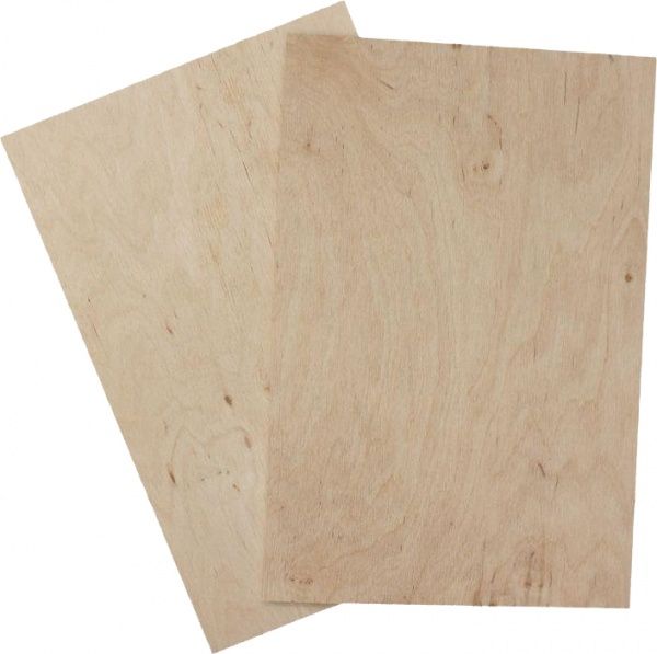 Заготовка для випалювання 20х30 см Роса 