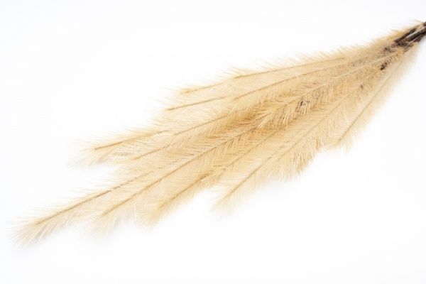 Гілочка декоративна Осока 120 см білого кольору Девілон