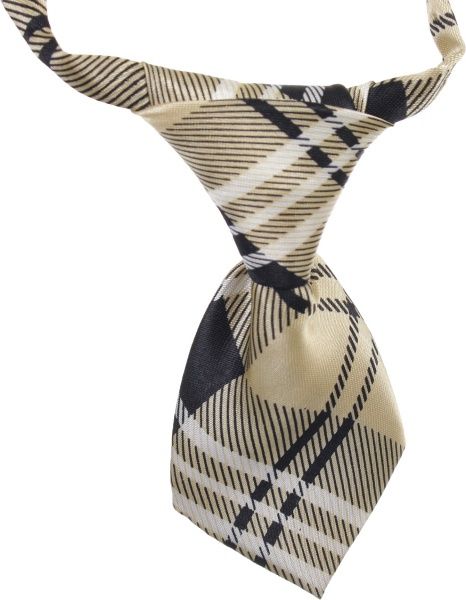 Ошейник для собак в форме галстука в ассортименте