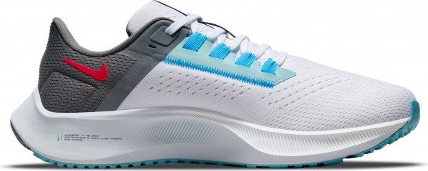 Кроссовки Nike Air Zoom Pegasus 38 Limited Edition DJ3129-001 р.US 6,5 разноцветный