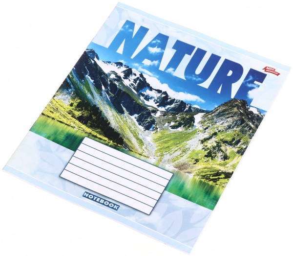 Тетрадь школьная 18 листов в линейку в ассортименте Мечты сбываются