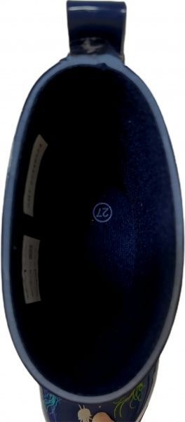 Сапоги для мальчика Морской р.27 синий 