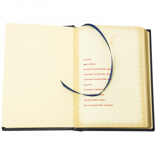 Ежедневник недатированный Тризуб Купола A5 304001075