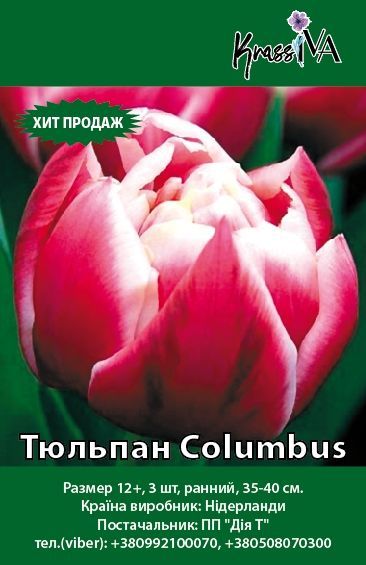 Луковица Тюльпан Columbus 3 шт. 